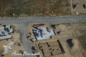 P1540942 2022 07 23 Allée Des Hérons, Des Spatules